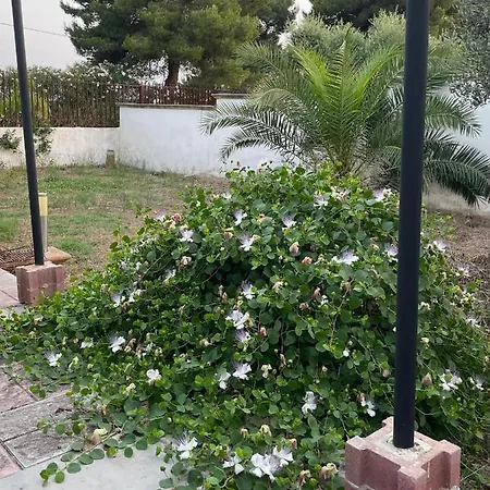 Holiday home Holiday Home Salento Torre Lapillo