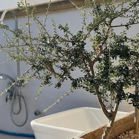 Holiday Home Salento Holiday home Torre Lapillo